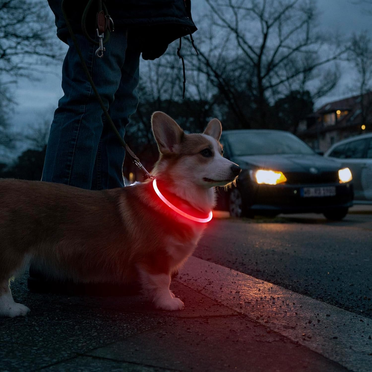 LED Dog Collar Light - USB Rechargeable Light up Dog Collars, DIY Flash LED Dog Necklace for Your Dogs Walking at Night (Red)