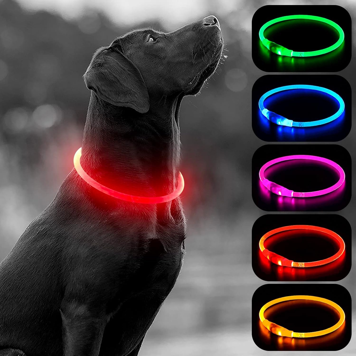 LED Dog Collar Light - USB Rechargeable Light up Dog Collars, DIY Flash LED Dog Necklace for Your Dogs Walking at Night (Red)